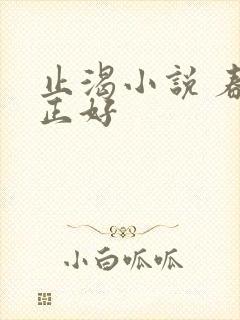 止渴小说 春光正好