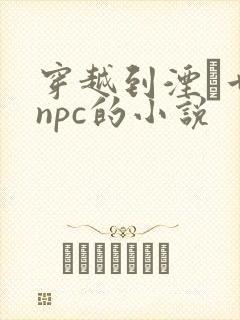 穿越到湮婸世界npc的小说