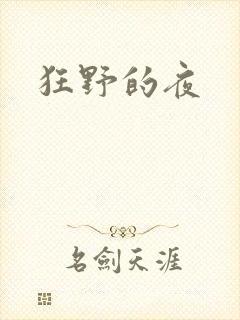 狂野的夜