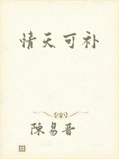 情天可补