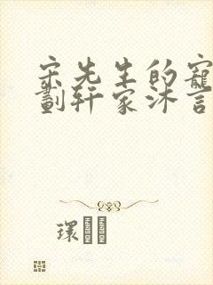 宋先生的宠妻计划轩家沐言