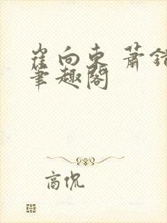 崔向东 萧错 笔趣阁