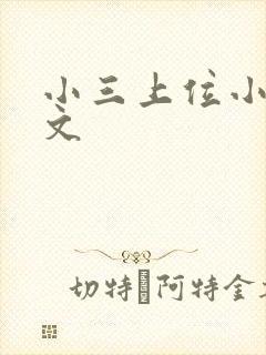 小三上位小说全文