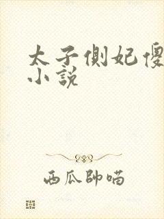 太子侧妃傻乎乎小说