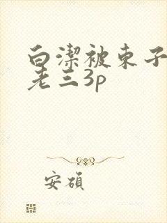 白洁被东子老二老三3p