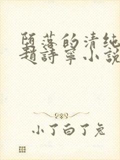 堕落的清纯校花赵诗宁小说阅读