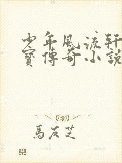 少年风流轩辕大宝传奇小说