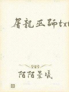 屠龙巫师txt