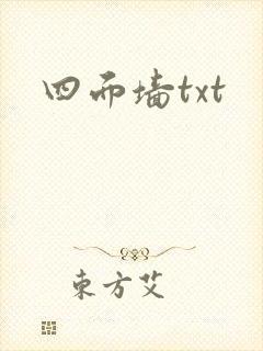 四面墙txt