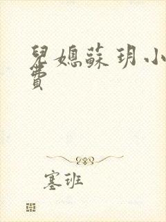 儿媳苏玥小说免费