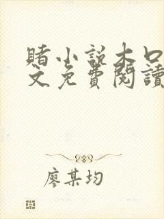 赌小说木口银全文免费阅读笔趣阁