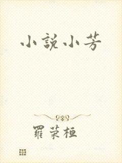 小说小芳