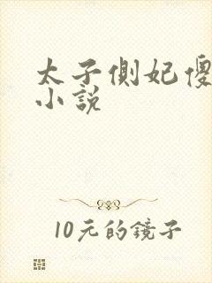 太子侧妃傻乎乎小说