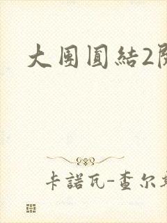 大团圆结2阅读