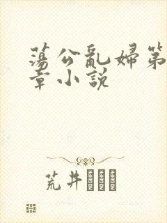 荡公乱妇第51章小说