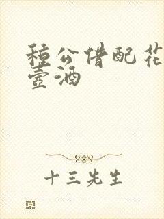 种公借配花间一壶酒