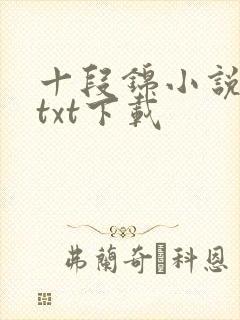 十段锦小说全本txt下载