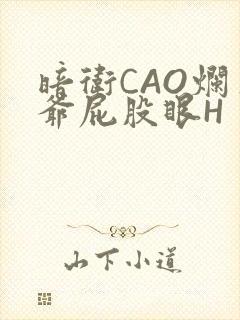暗卫CAO烂王爷屁股眼H