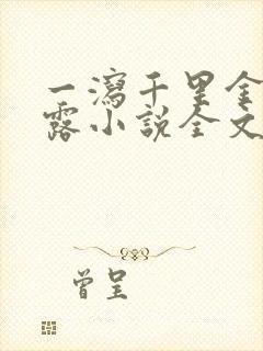 一泻千里金银花露小说全文免费阅读