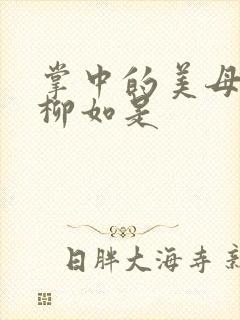 掌中的美母版主柳如是
