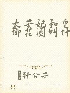 太子妃和皇帝在御花园叫什么小说