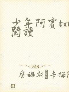 少年阿宾txt阅读