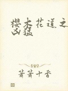 樱木花道之重生凶猛