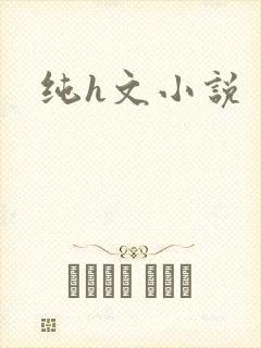 纯h文小说