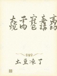 太子宠妾高肉红烧肉包讲的什么