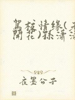 驾校情缘(老树开花)孙潇潇第一次趣笔阁