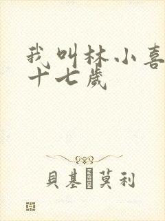 我叫林小喜今年十七岁