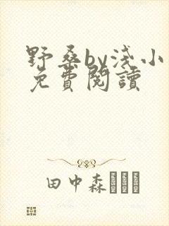 野桑by浅小说免费阅读