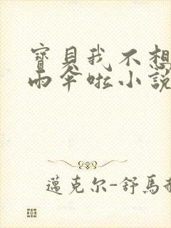 宝贝我不想带小雨伞啦小说