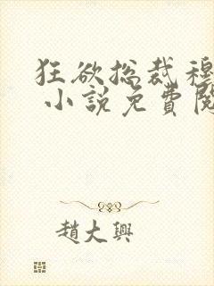 狂欲总裁穆非雪 小说免费阅读