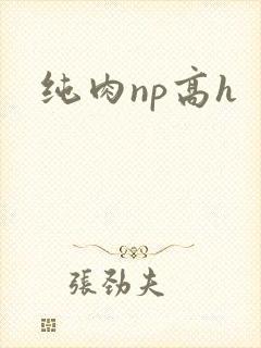 纯肉np高h