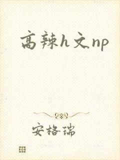 高辣h文np
