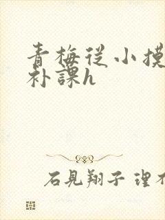 青梅从小摸到大补课h