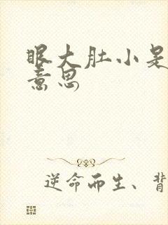 眼大肚小是什么意思