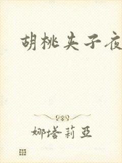 胡桃夹子夜未眠