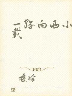 一路向西小说下载