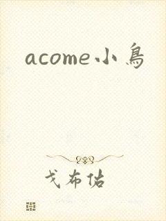 acome小鸟