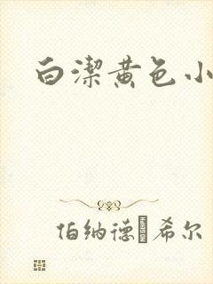 白洁黄色小说