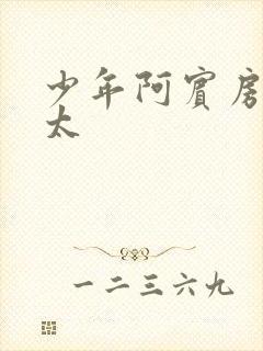 少年阿宾房东太太