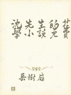 沈先生的花式教学小说免费