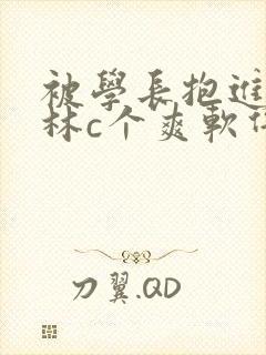 被学长抱进小树林c个爽软件