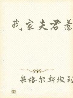 我家夫君惹不起