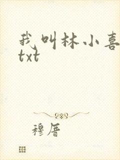 我叫林小喜小说txt