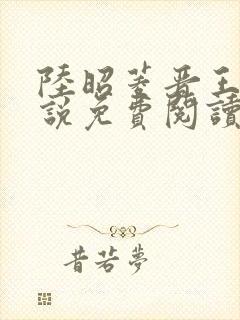 陆昭菱晋王的小说免费阅读