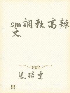 sm调教高辣h文