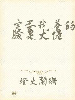 完蛋我养的小白脸是大佬